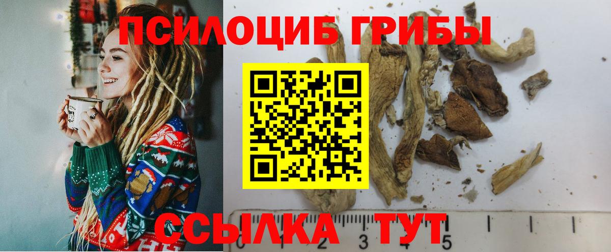 Псилоцибиновые грибы GOLDEN TEACHER Уссурийск